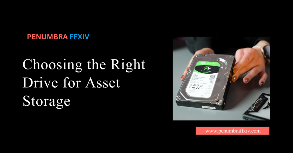 Choosing the Right Drive for Asset Storage
